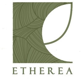 Etherea Developer