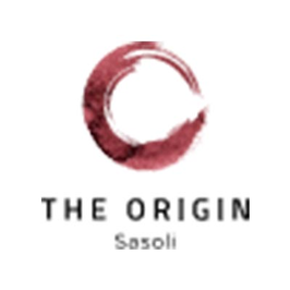 The Origin Sasoli Developers