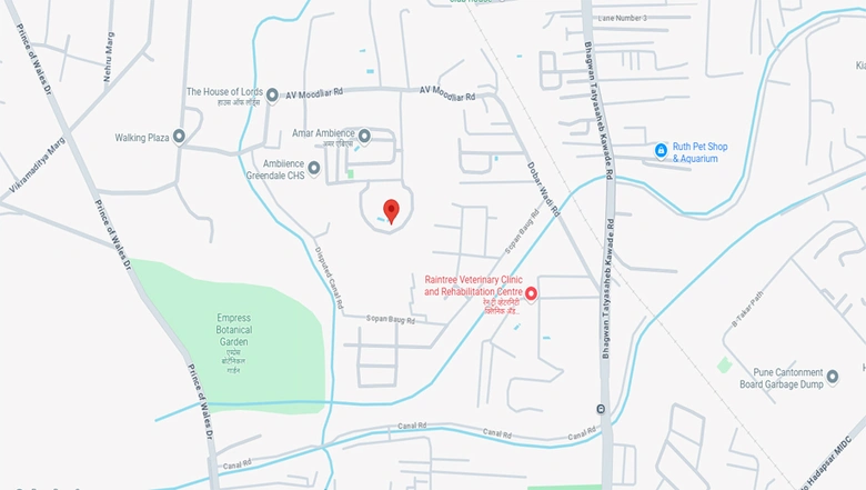 Location