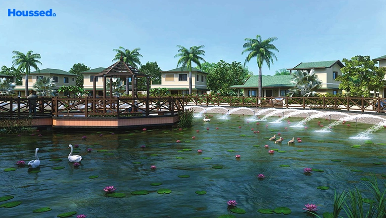 Amenities