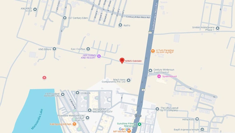 Location