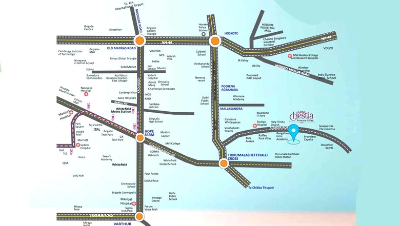 Location