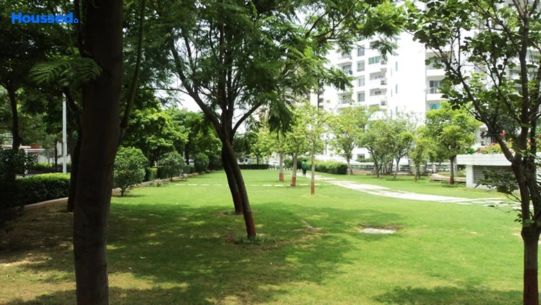 Amenities