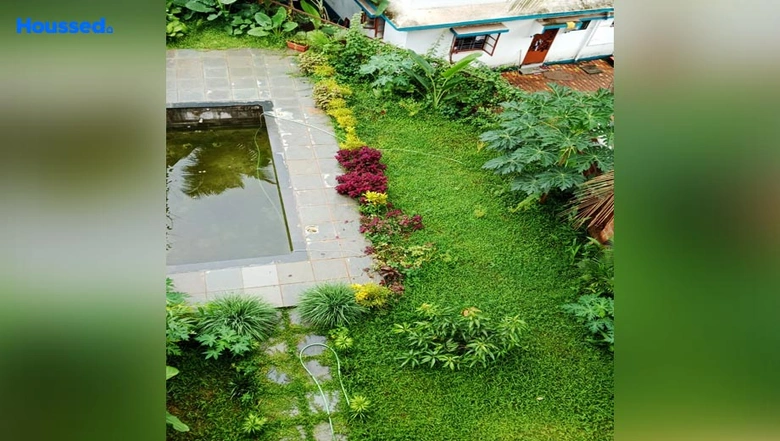 Amenities