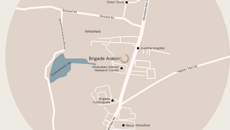 Location