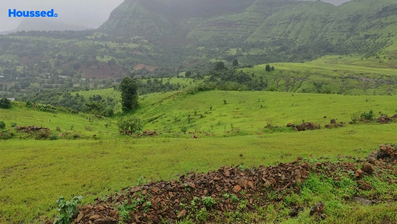 Image of Agriculture Land for Resale in Igatpuri, Nashik