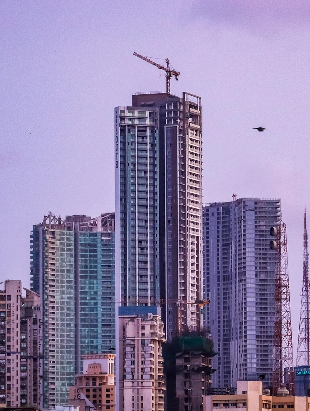 Why Indian Real Estate Face Challenges?
