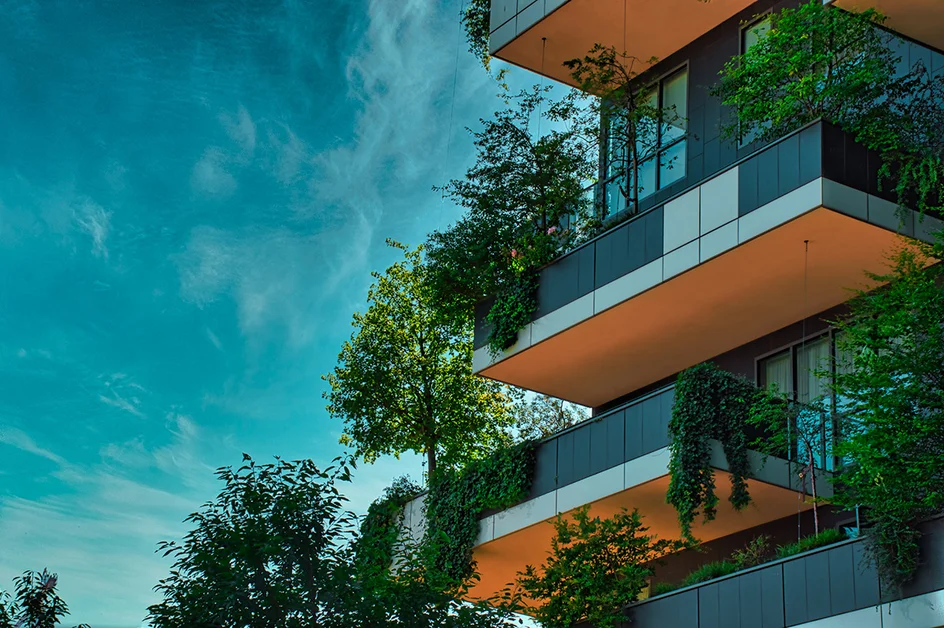 Building a Better Tomorrow: The Rise of Eco-Friendly Buildings