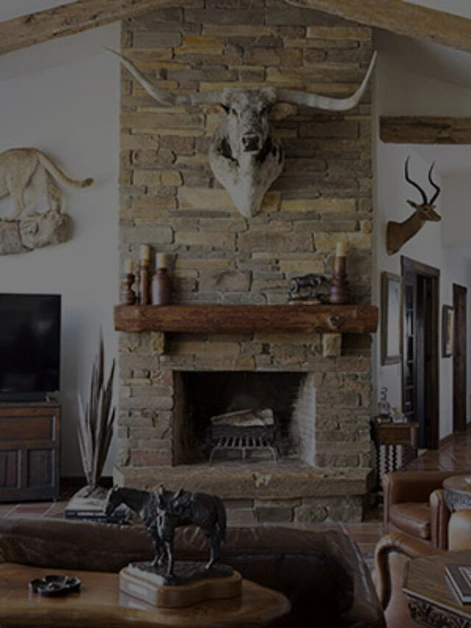 Fireplace Design Ideas