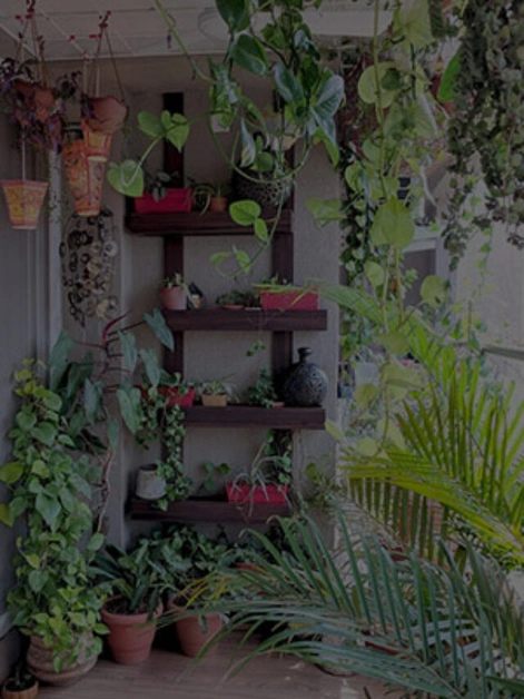 Organic Gardening at Home