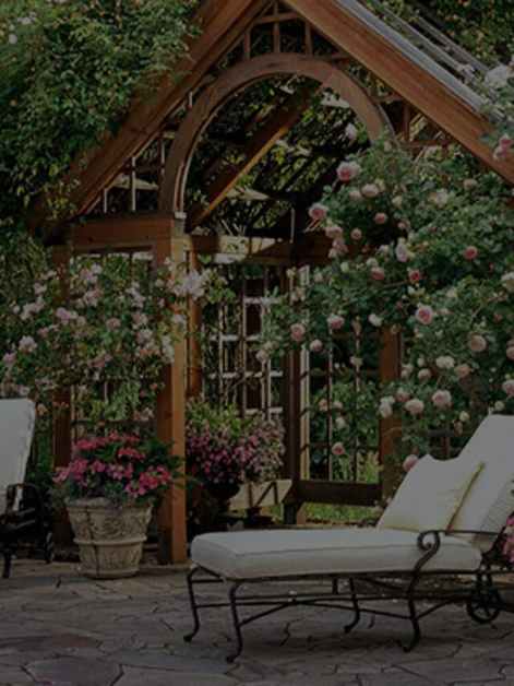 Patio Garden Ideas: Elevate Your Outdoor Oasis