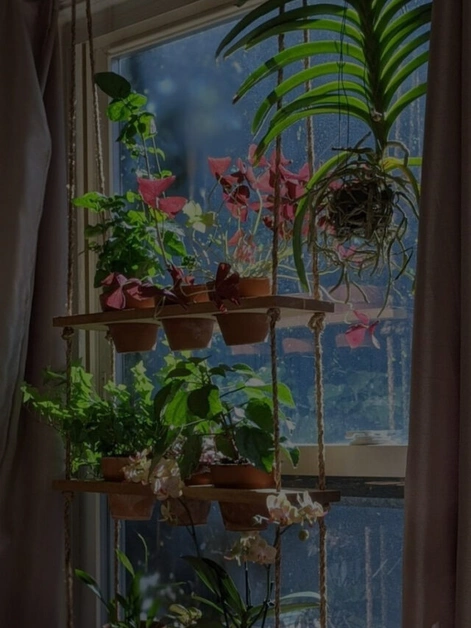 5 Dangerous Plants To Avoid in Your Home