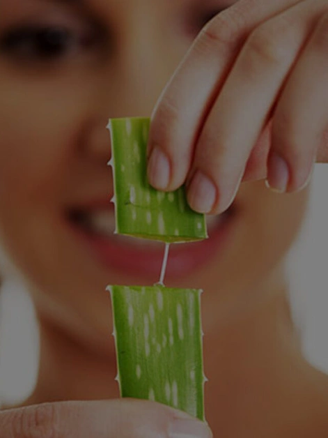 Impact of Aloe vera Plants at Homes