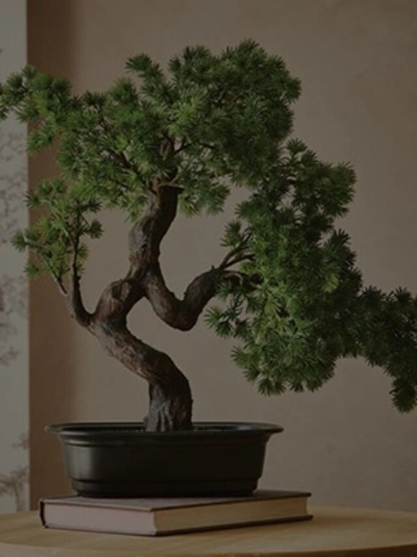 5 Low-Maintenance Fruit Trees for Pots