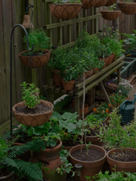 A Comprehensive Guide to Preserve Fresh Garden Herbs