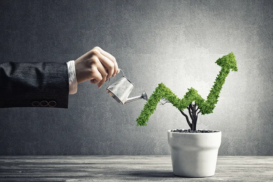 How to Earn Money From Home Without Any Investment Explained