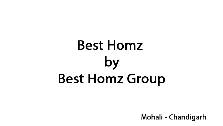 Best Homz Group