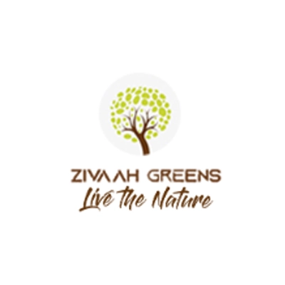 Zivaah Greens