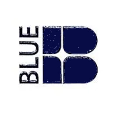 Blue Realestate