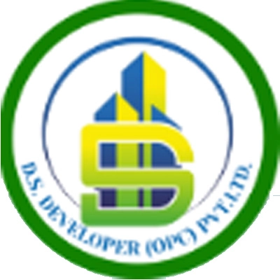 DS Developer