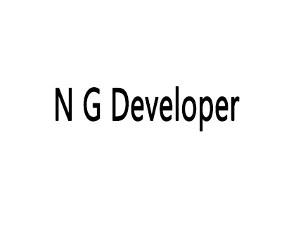N G Developer