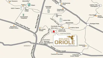 Location of Fortune Green Golden Oriole - Image 131098