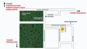 Location of Harmony Blossoms - Image 134098