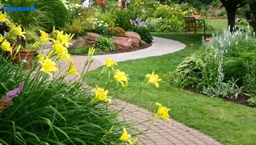 Amenities of Lotus Roldana - Image 134952