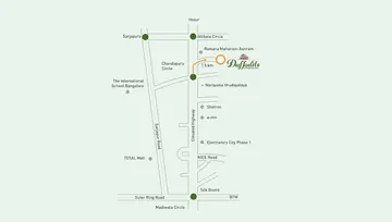 Location of Vakil Daffodils - Image 135368