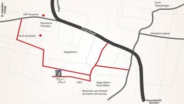 Location of A Peace Pearl - Image 139541