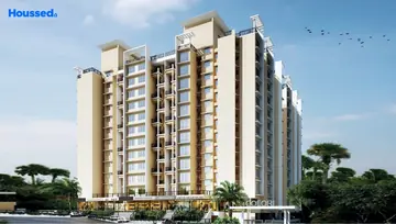 Project Image of Amit Colori - Image 145994