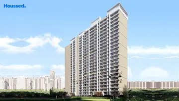 Project Image of Apex Green Wood - Image 87275