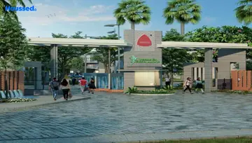 Project Image of Trifecta Verde En Resplandor - Image 100683