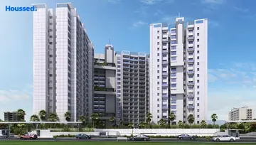 Project Image of Lohia Odela - Image 197350