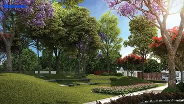 Amenities of Capstone Life Flowing Tree - Image 184449