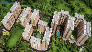 Project Image of Pinnacle Golden Forest - Image 161101