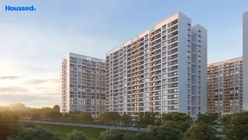 Project Image of Tayal K Shire - Image 106529