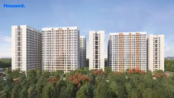 Project Image of Tayal K Shire - Image 106527