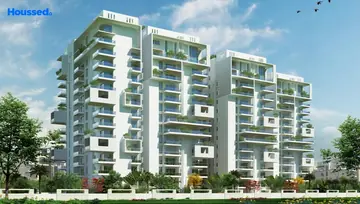 Project Image of Trifecta Starlight - Image 107549