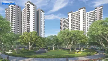 Project Image of Alembic Urban Forest - Image 107621