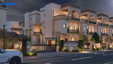 Project Image of Akshar Broadleaf 15 - Image 109916