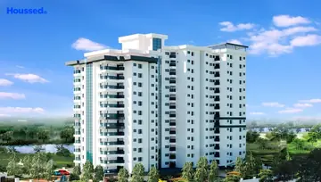 Project Image of Fern Silver Spring - Image 176178