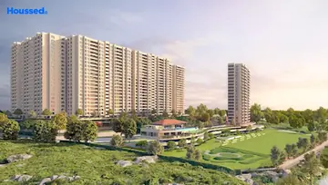 Project Image of ABH Treeland - Image 112919