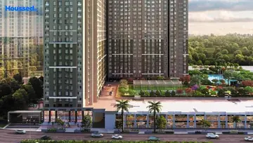 Project Image of Dosti Pine - Image 154501