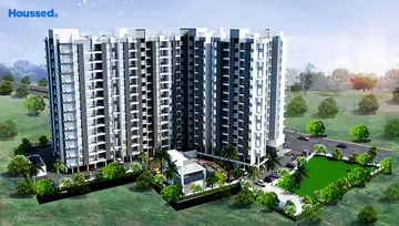 Project Image of Yash Florencia - Image 114109