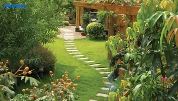 Amenities of Ideal Exotica - Image 163827