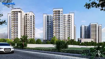 Project Image of Prestige Pine Forest - Image 167573