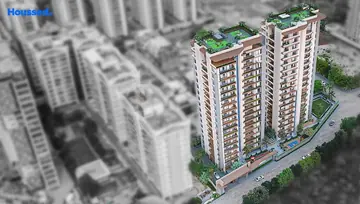 Project Image of Millionairee Modestaa - Image 175918