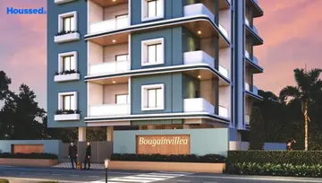 Project Image of Meerai Bougainvillea - Image 176516