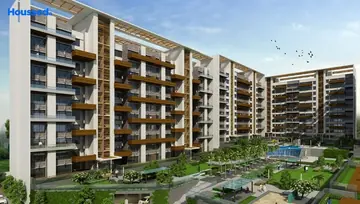 Project Image of Lushlife Ovo - Image 183999
